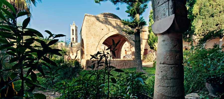 Agia Napa village image