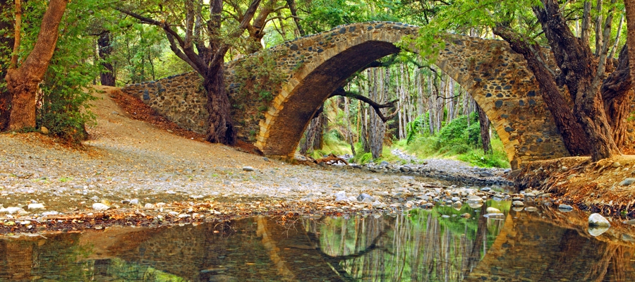 Οινική Διαδρομή Κοιλάδα Διαρίζου image