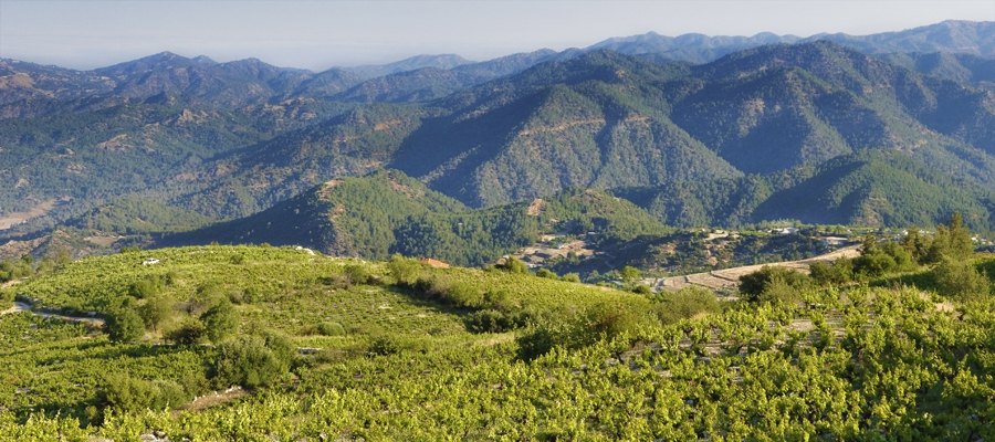 Οινική Διαδρομή Βουνί Παναγιάς - Αμπελίτης image