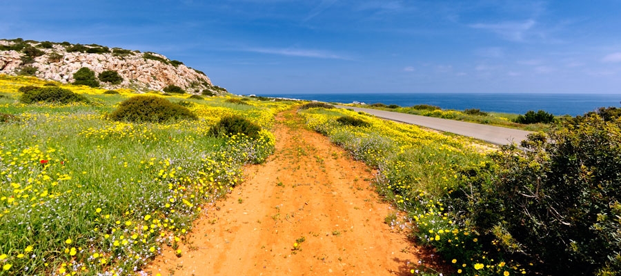 Αφροδίτη (Κυκλικό), Επαρχία Αμμοχώστου, Εθνικό Δασικό Πάρκο Κάβο Γκρέκο Μονοπάτι της Φύσης image