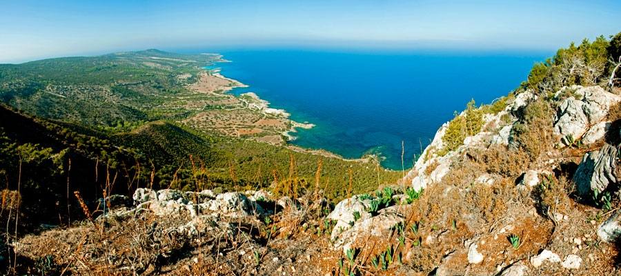 Aphrodite (Circular) - Pafos (Paphos) District, Akamas Forest Nature Trail image