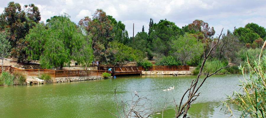 Athalassa National Forest Park / Visitor Centre image