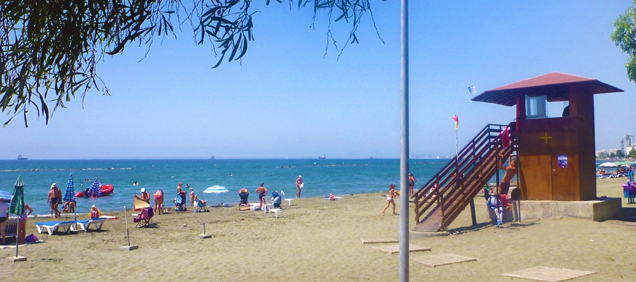 Dasoudi Beach - Blue Flag image