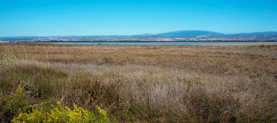 Lac salé d’Akrotiri image