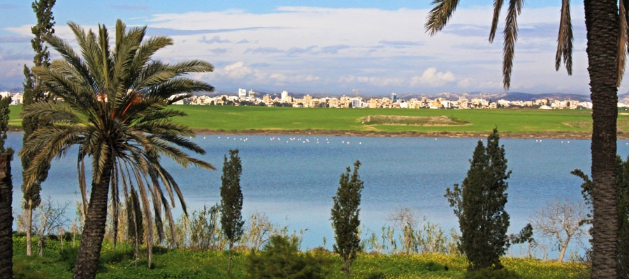 Larnaka (Larnaca) Salt Lake image