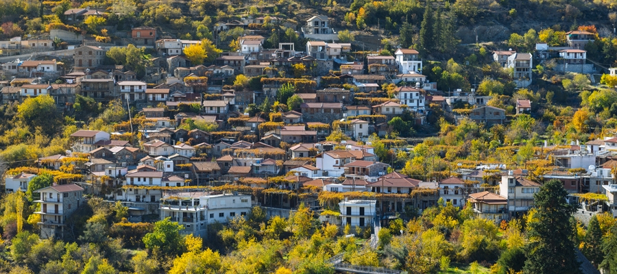 Οινική Διαδρομή Πιτσιλιά image